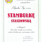 Stambułka Staszowska 2009v2